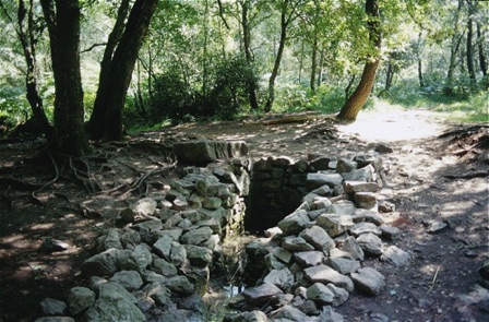 Francia - Broceliande Francia - Broceliande